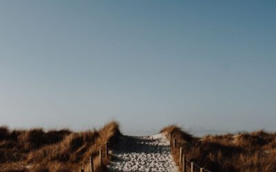 Bewusst.Selbst.Sein. – Eine leise Rückkehr zu uns selbst.